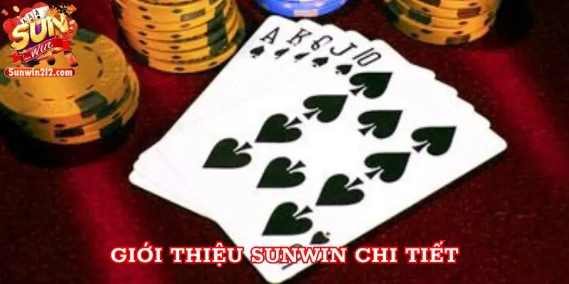 Giới Thiệu Sunwin chi tiết