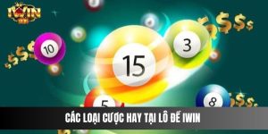 Các loại cược hay tại lô đề IWIN 