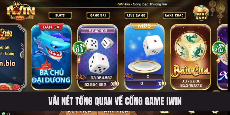 Vài nét tổng quan về cổng game IWIN